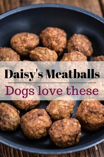 Meatballs For Dogs Recipes, Thanksgiving Meal For Dogs, Dog Meals Homemade, Dog Meatballs, Dog Food Add Ins, Meatballs For Dogs, Dog Food Recipes Crockpot, Dog Food Homemade, Foods Dogs Can Eat