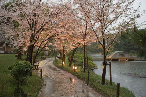 wishes + dreams 16:9 Aesthetic, Colorful Pictures Aesthetic, Japan Core, Japan Aesthetic, Pretty Photos, Source Unknown, Pretty Places, Cherry Blossoms, Aesthetic Photo