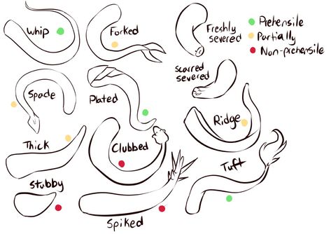 Tobias 🇵🇷 🏳️‍🌈 on Twitter: "I was trying to figure out some things for tieflings, and I thought I'd share. Go make some tieflings, they're very cool and great. https://t.co/2QuIH8QutT" Tiefling Tails Reference, Dnd Tiefling Tail, Teifling Tail Types, Teethlings Dnd, Tiefling Design Ideas, Teifling Tails, Tiefling Tail Reference, Tiefling Ears, Tiefling Traits