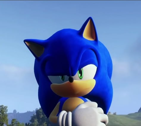 Silly Hedgehog, Sonic Expressions, Sonic Pfps, Sonic Frontiers, Sonic Icon, Japanese Video Games, Sonic Fanart, Speed Of Sound, Sonic Exe