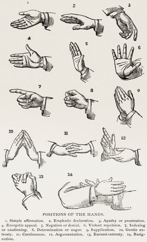 Positions of the Hands (1910) from the work of Joseph Gibb… | Flickr Domain Expansion Hand Sign, Body Language Hands, Hand Gesture Drawing, Hand Shadows, Gang Signs, Hand Symbols, Hand Gestures, Pointing Hand, Free Illustration Images