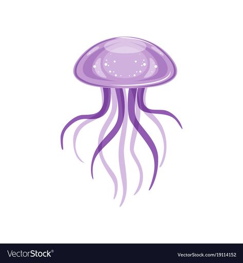 Jellyfish Vector Illustration, Jellyfish Vector, Jellyfish Species, Purple Jellyfish, Jellyfish Drawing, Draw Animals, Underwater Life, Public Education, How To