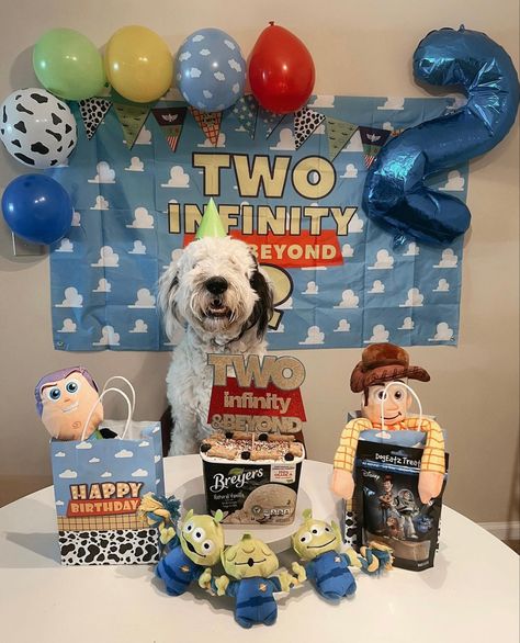 Amazon has all you need to celebrate your pup’s second birthday! #sheepadoodle #dogbirthday #dogmom 2nd Dog Birthday, Dogs Second Birthday Ideas, Dog Second Birthday Party, Dogs 2nd Birthday, Dog Party Themes, Dog Second Birthday, Dog 2nd Birthday Ideas, Dog Bday Party Ideas, Dog Themed Birthday Party Ideas