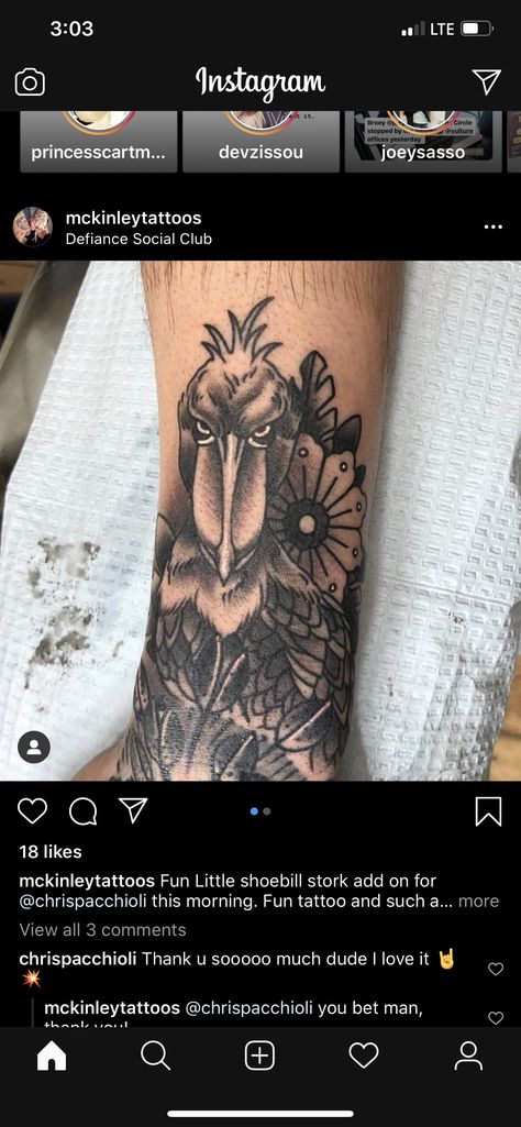 Shoebill Tattoo, Shoebill Stork Tattoo, Stork Tattoo, Tattoo 2022, Shoebill Stork, Body Modification, Arm Tattoos, Body Modifications, Creative Tattoos