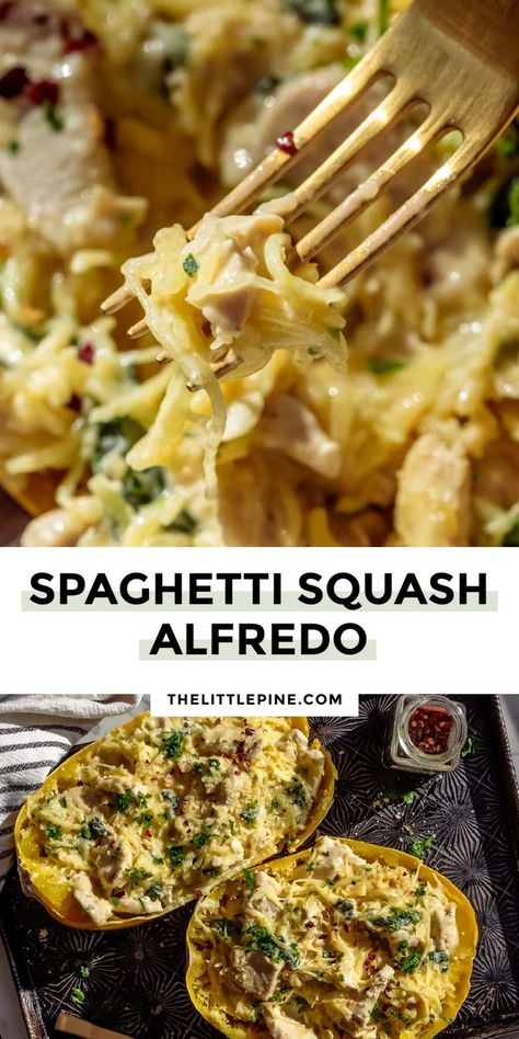 Healthy Zucchini Lasagna, Alfredo Spaghetti Squash, Chicken And Shrimp Alfredo, Alfredo Spaghetti, Spaghetti Squash Alfredo, Squash Alfredo, Healthy Chicken Alfredo, Keto Vegetables, Alfredo Bake