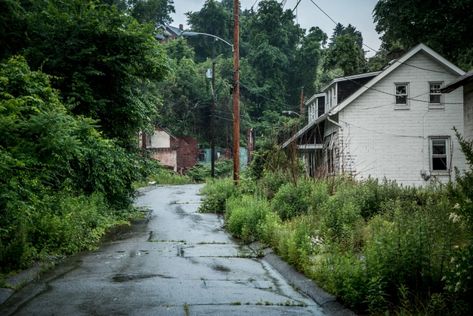 Apocalypse Setting, Aesthetic Apocalypse, Abandoned Neighborhood, Neighborhood Street, Apocalypse Landscape, Environment References, Environment Reference, Abandoned City, Abandoned Town