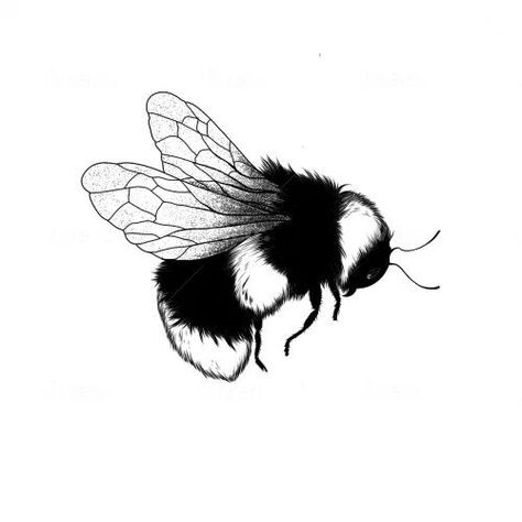 create a unique tattoo for you in my style Unique Animal Tattoos, Artistic Tattoos, Mother Tattoos For Children, Honey Bee Tattoo, Bee Silhouette, Modern Art Tattoos, Bumble Bee Tattoo, Tier Tattoo, Bug Tattoo