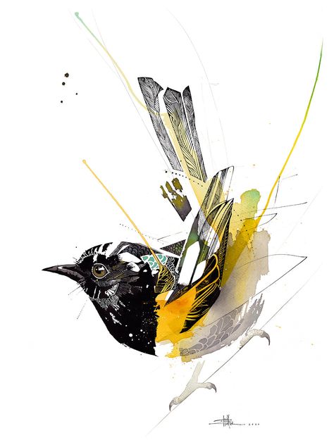 Rachel Walker Kakapo Bird, Sacred Kingfisher, Barbary Lion, Rachel Walker, Admiral Butterfly, Big Bouquet, King Fisher, Ink Artwork, Bird Artwork