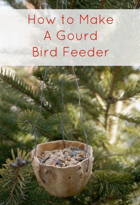 How to Make a Gourd Bird Feeder Birds Feeder, Craft Projects For Adults, Homemade Bird Feeders, Earth Day Crafts, Diy Bird Feeder, Gourds Crafts, Garden Crafts Diy, Diy Birds, Diy And Crafts Sewing