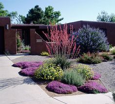 low water front yard with gravel: WaterWise Landscapes Inc. (Landscapes page 5) Xeriscape Front Yard, Drought Resistant Landscaping, Xeriscape Landscaping, Drought Tolerant Garden, Small Front Yard Landscaping, Drought Tolerant Landscape, Front Yard Design, Dry Garden, Dry Creek