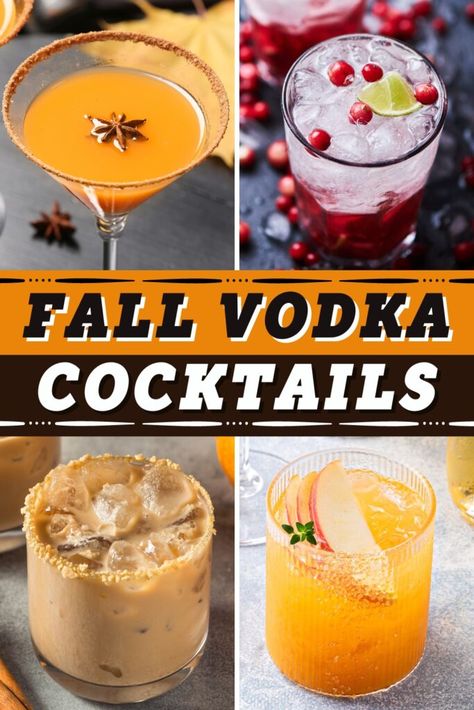 Fall Cocktails Vodka, Fall Vodka Cocktails, Fall Mixed Drinks, Fall Cocktails Easy, Cranberry Martini, Martini Recipes Vodka, Thanksgiving Cocktail Recipes, Pitcher Cocktails, Moscow Mules