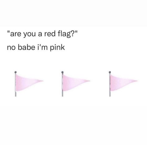 Pink flag red flag red flag relationship coquette Pink Quotes, Pink Girly Things, Pink Vibes, Pink Themes, Girly Quotes, Red Flag, Cute Texts, Everything Pink, What’s Going On