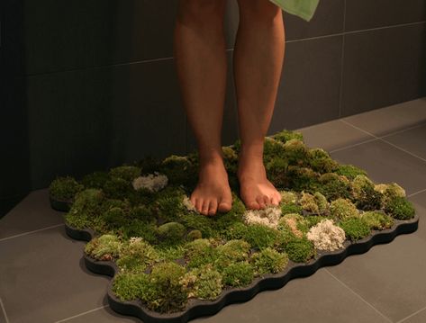 Moss Shower Mats, Moss Bath Mat, Bath Mat Diy, Growing Moss, Moss Rug, A Rug, Shower Mat, Bathroom Mat, Natural Living