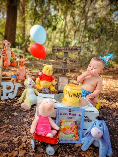 Honey Pot Smash Cake, Winnie The Pooh Photoshoot, Winnie The Pooh First Birthday, Pooh First Birthday, Birthday Party Photoshoot, Pooh Bebe, Lila Party, Baby First Birthday Themes, Winnie The Pooh Cake