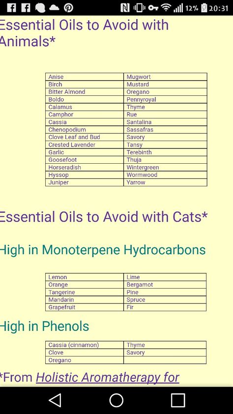 Essential oils Dangerous cats and dogs Essential Oils Not Safe For Dogs, Essential Oils Dogs Not Safe, Essential Oils Dangerous For Dogs, Dangerous Cat, What Essential Oils Are Safe For Cats, Essential Oils Harmful To Dogs, Juniper Essential Oil, Essential Oil Spray Recipes, Essential Oils Dogs