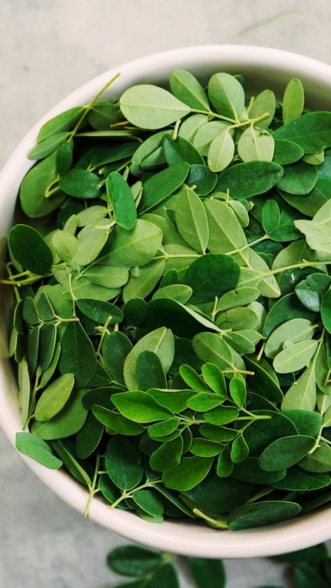 Health Benefits Of Moringa, Strawberry Health Benefits, Benefits Of Moringa, Moringa Benefits, Moringa Tree, Nutrition And Health, Health Images, Improve Nutrition, Moringa Leaves