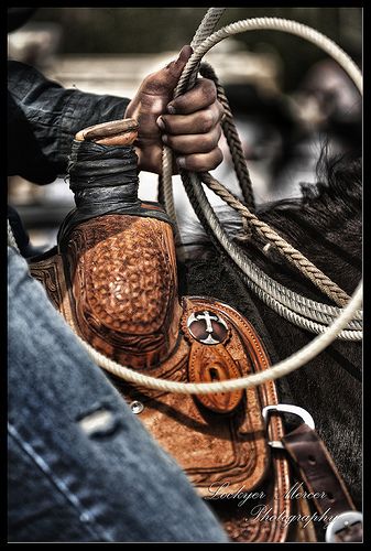 Roping Pictures, Roping Photography, Rodeo Roping, Rodeo Photography, Roping Horse, Strong Hands, Team Roper, Cowboys And Angels, Cow Boys