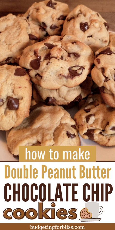 Healthy Food Menu, Lost 100 Pounds, Peanut Butter Chocolate Chip Cookies, Peanut Butter Cookie Recipe, Chip Cookie Recipe, Peanut Butter Chocolate Chip, Peanut Butter Chocolate, Peanut Butter Recipes, Food Facts