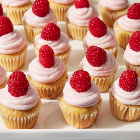 These light and fluffy mini cupcakes with cream cheese frosting are flavored with lemon with a raspberry-tinted frosting. Spring Baking, Raspberry Cupcakes, Pink Food, Cupcakes With Cream Cheese Frosting, Cute Asian Fashion, Rose Cupcakes, Small Food Processor, Muffin Tray, Pastry Flour