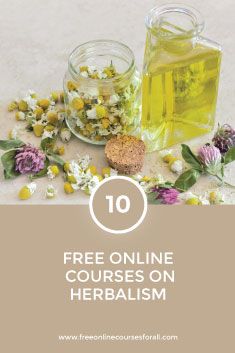 10 Free Online Courses on Herbalism Free Herbalism Courses, Making Medicine, Medicinal Tea, Free Classes, Herbal Tinctures, Side Jobs, Free Online Courses, Make Good Choices, Healing Herbs