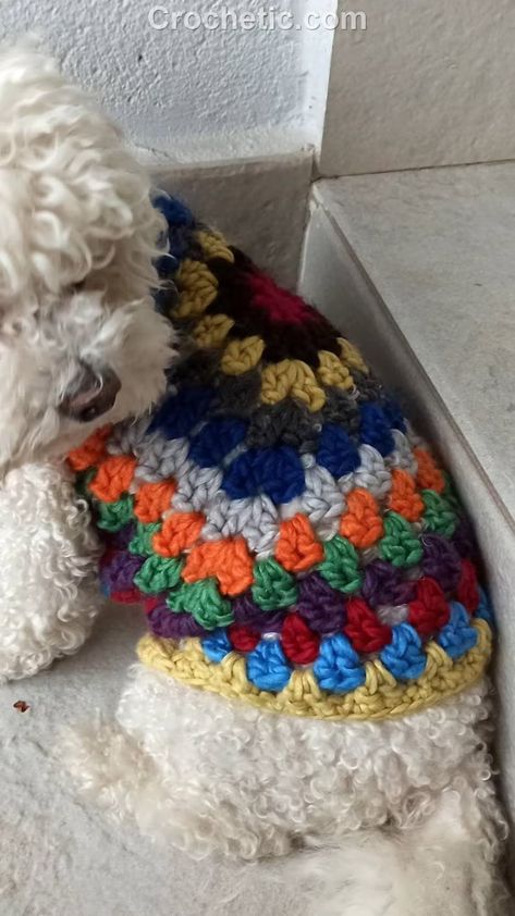 Mind-blowing Elegant Trendy Crochet Free Knitting Pattern For Beginners Dog Sweater Ideas Dog Crochet Outfits, Crochet Dog Things, Dog Crochet Projects, Dog Crochet Clothes, Granny Square Dog Sweater Pattern, Crochet Dog Jumper, Crochet Puppy Sweater, Crochet Dog Jacket, Crochet Granny Square Ideas