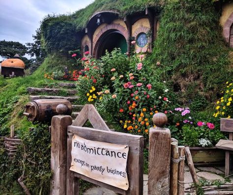 Bag's End is real, guys. I saw it! #hobbiton #lotr #bilbo #hobbiton Hobbit Party, Casa Hobbit, Bilbo Baggins, Hobbit Hole, Party Business, Hobbit House, Have Inspiration, Fellowship Of The Ring, The Shire