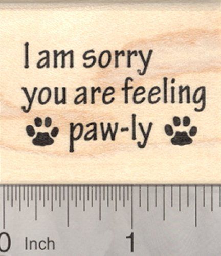 Get Well Soon Rubber Stamp Paw prints Cat Dog -- Want to know more, click on the image. Notecard Ideas, Prayer Blanket, Get Well Quotes, Dog Paw Print, Cat Cards, Dog Decor, Seal Stamps, Get Well Cards, Lawn Fawn