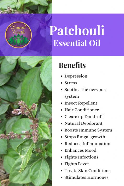 Patchouli For Skin, Patchouli Essential Oil Perfume Recipes, Patchouli Oil Benefits, Patchouli Essential Oil Benefits, Patchouli Essential Oil Uses, Patchouli Incense, Essential Oils Guide, Meditation Candles, Oil Remedies