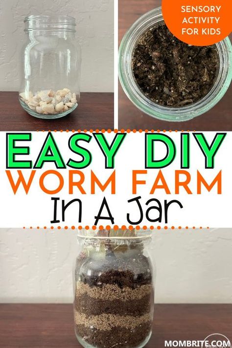 Easy Worm Farm, How To Make A Wormery, Diy Earthworm Farm, How To Build A Worm Farm, Worm Projects For Preschool, Compost In A Jar, Earthworms For Kids, Worm Box Diy, Worms Activity Preschool