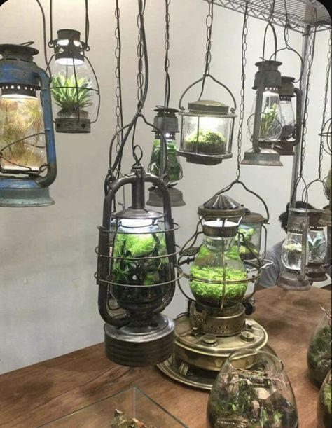 Steampunk Garden Ideas, Bright Witchy Decor, Small Grow Room Ideas Indoor, Terrarium Living Room, Witchy Terrarium Ideas, Nature Inspired Bathroom Decor, Fantasy Inspired Home Decor, Terrarium In Aquarium Tank, Fish Home Decor