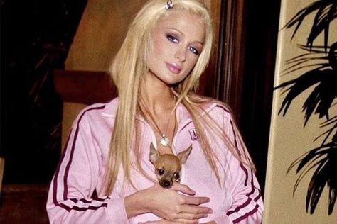 Paris Hilton, Chihuahua, A Woman, Blonde, Paris, Hair, Pink, Instagram