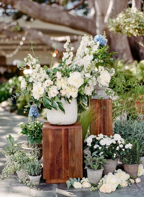 Potted Plants: The Greenery Wedding Decor Trend That's Totally Unexpected - floral wedding ceremony decor {Callista & Company} Lavender Potted Plant, Ceremony Arch Decor, Potted Plants Patio, Tattoo Plant, Wedding Plants, Spring Porch Decor, Greenery Wedding Decor, Ceremony Design, Aisle Decor