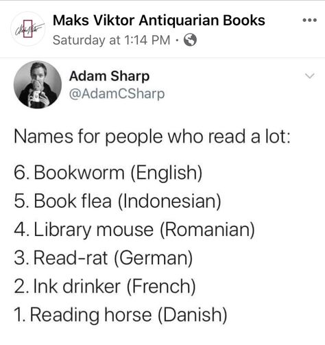 Are you all of these or would you rather stick with Book Nerd? Brea Grant, Love Books, Antiquarian Books, Book Genres, Would You Rather, Books To Buy, Book Humor, Film Movie, Love Book