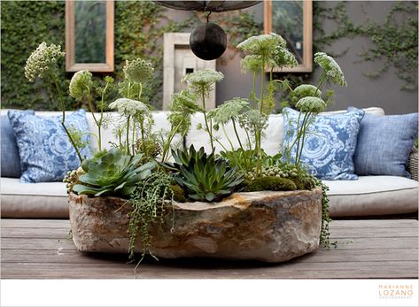 Succulents Centerpiece, Eddie Zaratsian, Ammi Majus, Succulent Gardens, European Garden, Dough Bowls, Brown House, Container Design, Deco Boheme