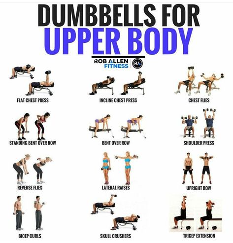 Chest Dumbell, Weights Women, Dumbell Workouts, Upper Body Exercise, Drawing Men, Lean Muscles, Crossfit Wods, Exercise Workouts, Gym Exercises