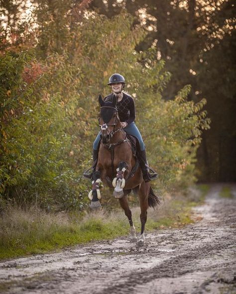 Jumper Aesthetic, Equestrian Photoshoot, Jumping Pictures, Horse Riding Lessons, Show Jumping Horses, Equestrian Aesthetic, Eventing Horses, English Horse, Dream Horse