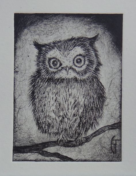 Etching Prints Dry Point, Drypoint Printmaking Ideas, Dry Point Etching Printmaking, Dry Point Etching Ideas, Dry Etching, Etching Inspiration, Drypoint Printmaking, Etching Illustration, Dry Point Etching