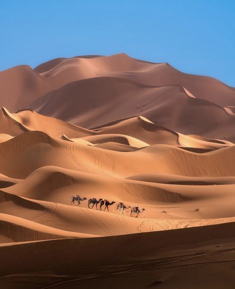 Earth Pics on Twitter: "Sand dunes of the Sahara Desert 🐫 by @ilhan1077… " Morocco Wallpaper, Desert Sahara, Desert Aesthetic, Desert Dunes, Desert Photography, Desert Tour, Visit Morocco, Earth Pictures, Camping Holiday