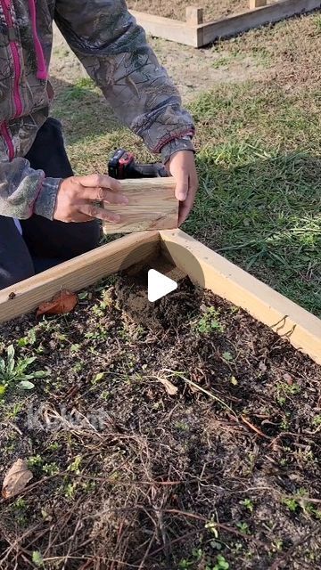 Vegetable Boxes Garden, Garden Structures Diy, Raised Bed Garden Diy, Raised Garden Beds Ideas Layout, Pallet Garden Bed, Small Garden Bed Ideas, Raised Beds Garden, Raised Bed Layout, Cheap Raised Garden Beds