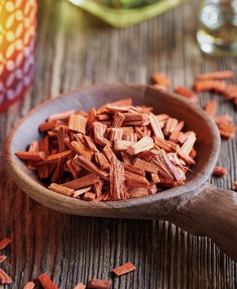 6 Savory Sandalwood Blends For That Ultimate Woodsy Feel Sandalwood Aesthetic, Indian Sandalwood, Scent Diffuser, Infused Oils, Solid Perfume, Fall Scents, Oil Diffuser, Cute Couples Goals, Healthy Living