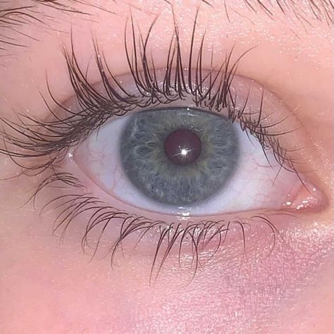 Naturally Long Lashes Aesthetic, Long Real Eyelashes, Healthy Eyelashes, Natural Thick Lashes, Real Lashes, Thick Natural Eyelashes, Lash Serum Aesthetic, Naturally Long Eyelashes, Long Eyelashes Naturally