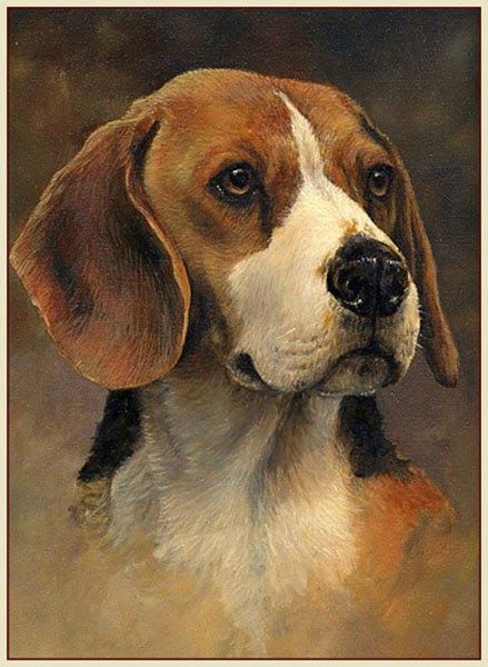 Tatoo Dog, Beagle Art, Dog Portraits Painting, Dog Portraits Art, Cute Beagles, 강아지 그림, Canine Art, Beagle Puppy, Beagle Dog