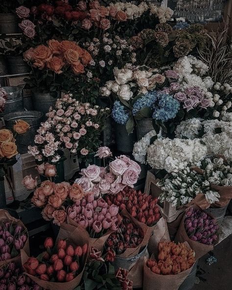 it ends with us - colleen hoover Lily Bloom, It Ends With Us, A Novel, Flower Shop, Love Me, Lily, Flowers