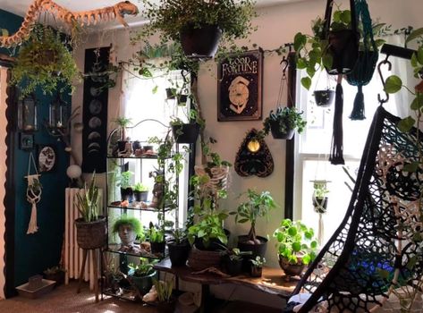 Plant Goth Bedroom, Bedroom Decor Aesthetic, Aesthetic Plants, Apartment Needs, Dark Home Decor, Goth Home Decor, Dark Home, Apartment Aesthetic, House Plants Decor