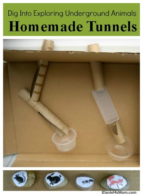 {Dig Into} Exploring Underground Animals - make your own homemade tunnels with recycled materials Underground Animals, Animal Jobs, Mars Project, Animals Activities, Preschool Letter, Land Animals, Creative Curriculum, Animal Science, Simple Machines