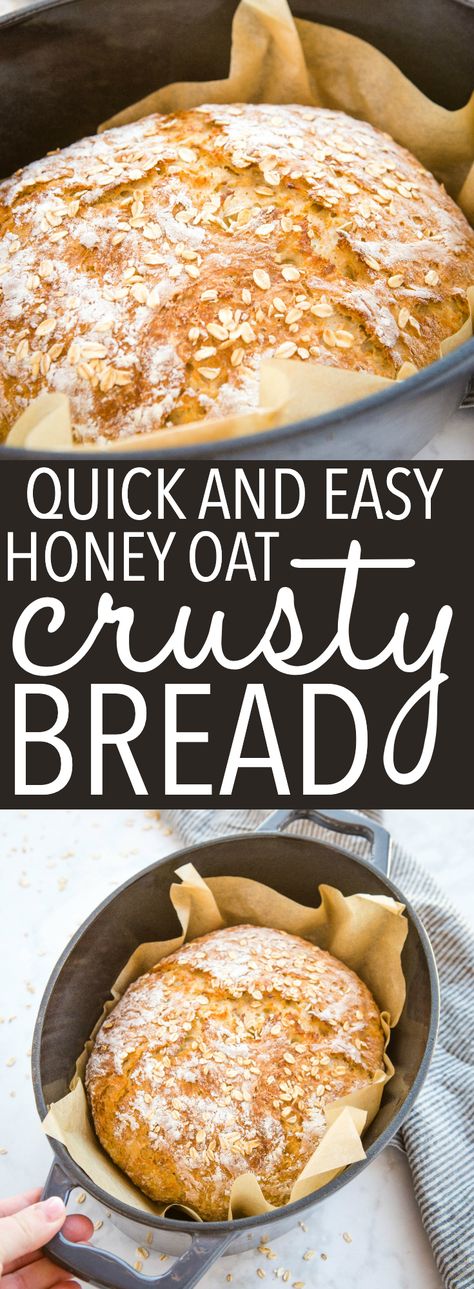 This No Knead Honey Oat Artisan Bread is the perfect easy crusty bread recipe with sweet honey and delicious oats! No overnight rising, no kneading, soft and fluffy on the inside with the perfect crispy crust. Follow my Pro Tips to make the perfect loaf at home! Recipe from thebusybaker.ca! #bread #homemade #homemadebread #wholegrain #dutchoven #howtomakebread #howtomakehomemadebread #healthybread #health via @busybakerblog Easy Crusty Bread Recipe, Easy Crusty Bread, Crusty Bread Recipe, The Perfect Loaf, Honey Oat Bread, Oat Bread, Dutch Oven Bread, Bread Homemade, Artisan Bread Recipes