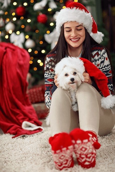 Christmas Photos Outfits, Dog Christmas Photos, Dog Christmas Pictures, Christmas Shots, Xmas Photos, Dog Christmas Card, Christmas Shoot, Dog Photoshoot, Christmas Family Photos