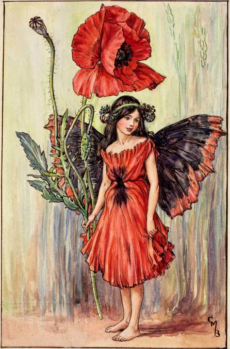 The Poppy Fairy by Cicely Mary Barker Poppy Fairy, Fairy Illustration, Cicely Mary Barker, Vintage Fairies, Hur Man Målar, Flower Fairies, Art Et Illustration, Fairy Angel, Art And Illustration