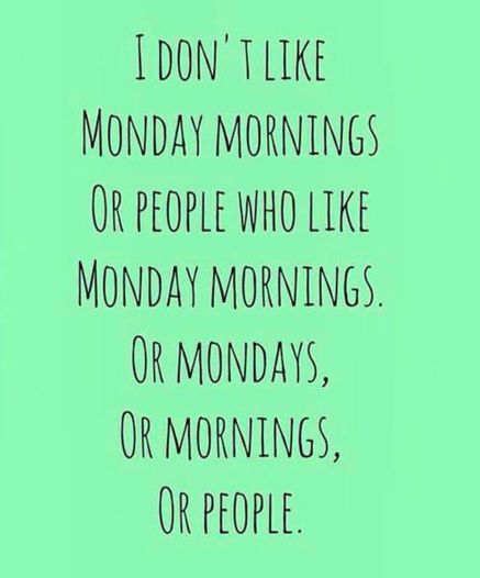 Monday Morning Humor, I Dont Like Mondays, Happy Monday Quotes, I Hate Mondays, Quotes Arabic, Hate Mondays, Monday Humor, Monday Quotes, Sunday Quotes