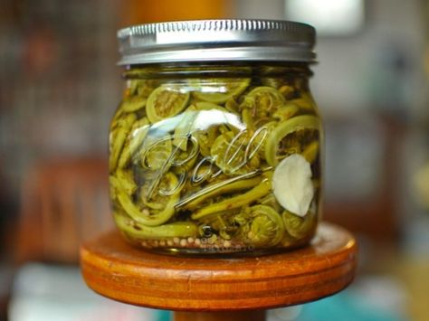 Pickled Fiddlehead Ferns  First pickle of the season. Fiddleheads from the organics box. Subs: 1/4 instead of 1/2 mustard; 1/2 instead of 1/4 peppercorn.  Yield: 1 pint Fiddlehead Fern Recipes, Sweet Hot Pickles, Fiddlehead Recipes, Pickle Relish Recipe, Serious Eats Recipes, Fiddlehead Ferns, In A Pickle, Pepper Relish, Spicy Pickles